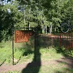 Sunshine / Slunecna Krásná Lípa