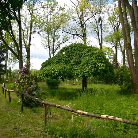 Sunshine / Slunečna * Krásná Lípa
