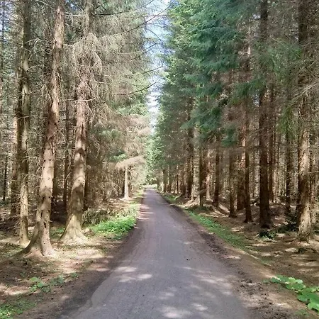 Sunshine / Slunecna *