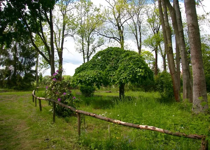 Sunshine / Slunecna * Krásná Lípa